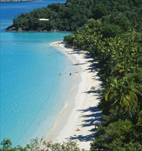 WEST INDIES, US Virgin Islands, St Johns, "Trunk Bay. View over tree covered coastline with bright
