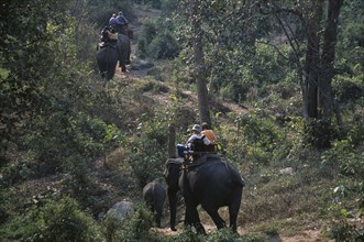 THAILAND, North, Chiang Mai, Tourists trekking on elephants through the jungle south of Chiang Mai