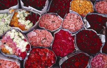 THAILAND, North, Chiang Mai, "Praisani Road flower market.  Close view of tightly packed bunches of