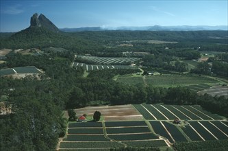 AUSTRALIA, Queensland, Glasshouse Mountains, Landscape with cultivated fields interspersed by dense