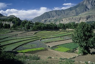 PAKISTAN, Chitral Valley, Ayun, View over rice terraces