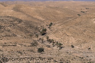 TUNISIA, Near Tataouine, Very dry landscape with dried up river indicated by palm trees.