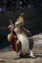 THAILAND, Bangkok, Man wrestling crocodile with crowds watching from behind barrier.