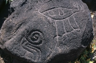 NICARAGUA, Lake Nicaragua, Ometepe Island, Close up detail of petroglyphs carved in to large bolder