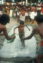 SRI LANKA , Chilaw, "Young boys firewalking, walking barefoot across hot coals encouraged by