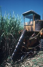 CUBA, Holguin, Sugar cane harvest machine with Archimedes screw mechanism to gather the canes