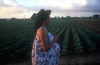 CUBA, Pinar del Rio, Pregnant woman standing beside a tobacco field