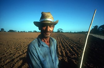 CUBA, Pinar del Rio, Male tobacco worker standing by field of young tobacco plants