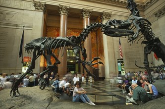 USA, New York , New York City, Natural History Museum. Dinosaur skeleton exhibits in the Main Hall