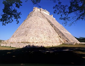 MEXICO, Yucatan, Uxmal, Pyramid seen through trees