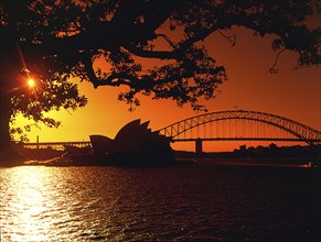 AUSTRALIA, New South Wales, Sydney, Opera House at sunset seen through trees