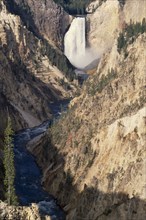 USA, Wyoming, Yellowstone National Park, Grand Canyon of  Yellowstone with waterfall cascading into