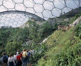 ENGLAND, Cornwall, St Austell, Eden Project. Tropical dome interior with visitors on path leading
