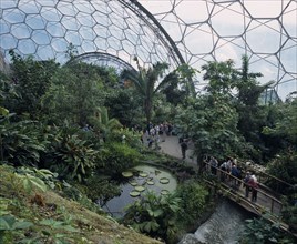 ENGLAND, Cornwall, St Austell, Eden Project. Tropical dome interior with visitors on bridge by lily