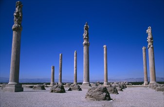 IRAN, South, Persepolis, Fifth century BC Archaemenid palace complex.  Stone columns originally