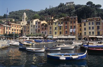 ITALY, Liguria, Portofino, "Harbour with moored boats and pastel coloured waterside houses, tree