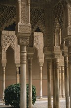 SPAIN, Andalucia, Granada, Alhambra Palace.  Detail of arches lining the Patio de los Leones.