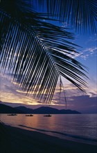 MALAYSIA, Penang, Batu Ferringhi, Beach framed by palm fronds silhouetted at sunset with streaked