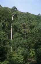 UGANDA, Sipi Falls, Mountain area of dense tropical forest