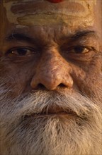 INDIA, Uttar Pradesh , Close portrait of elderly man with beard and yellow caste mark.