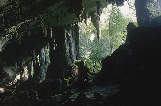 MALAYSIA, Borneo, Kalimantan, Niah Caves interior looking out towards the jungle