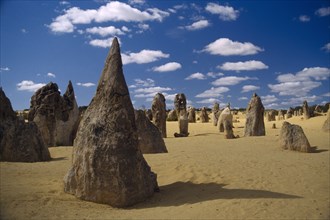 AUSTRALIA, Western Australia , Nambung National Park , Rock Pinnacles in desert landscape.