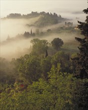 ITALY, Tuscany, San Gimignano, Morning mist rising over vineyards and farmhouse amongst green trees