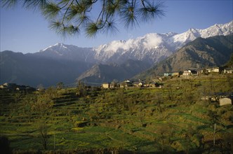 INDIA, Himachal Pradesh, Dharamsala, View of town overlooking terraces backed by snow capped