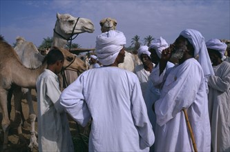 EGYPT, Upper Egypt, Daraw, Camel market  with a man making a bid for a camel