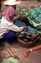 CAMBODIA, Prek Krieng, Women selling river turtles.
