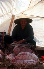 VIETNAM, Ben Tre, Woman in conical hat with piglets in a wire basket at Ben Tre market.