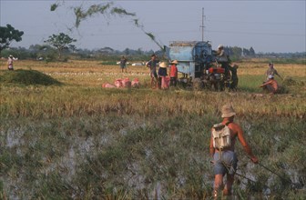 VIETNAM, Cao Lanh , Threshing rice with threshing machine.  Fish skinner in the foreground.