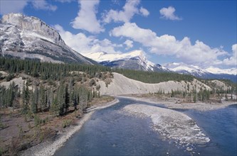 CANADA, Alberta, Banff National Park, Saskatchewan river with pine trees on shore and mountain