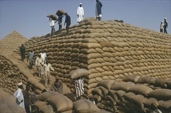 NIGERIA, Kano, Men stacking sacks of groundnuts to create a large pyramid