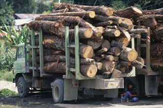 INDONESIA, Sumatra, Industry, Timber trucks at the ferry port of Tomok on Samosir Island in Lake