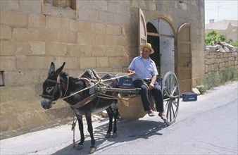 MALTA, Gozo, Man with donkey cart in street