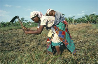 MOZAMBIQUE, Farming, Young woman carrying her baby strapped to her back whilst tilling land by hand