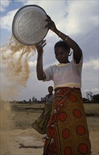 TANZANIA, Shinyanga, Gertrude winnowing rice waste she collects from mill.  Whole grains that slip