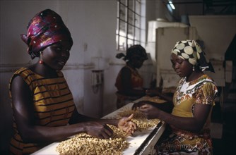 NIGERIA, Kano, Women working in groundnut oil factory.
