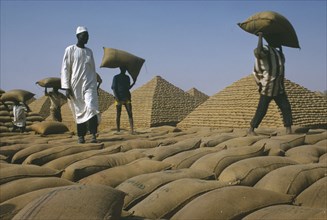 NIGERIA, Kano, Workers building pyramids made from sacks of groundnuts