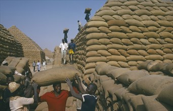 NIGERIA, Kano, Workers building pyramids from sacks of groundnuts.