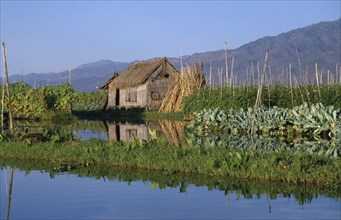 MYANMAR, Inle Lake, Thatched hut and floating garden.