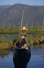 MYANMAR, Inle Lake, Woman rowing wooden canoe through floating gardens.