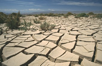 CHILE, Atacama Desert, San Pedro de Atacama, Landscape of mud cracked earth