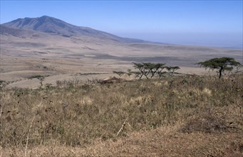 TANZANIA, North, Ngorongoro , Landscape around the Ngorongoro Crater.