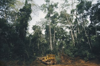 IVORY COAST, Industry, Logging in forest area for timber