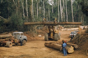 IVORY COAST, Industry, Timber workers watching large log being carried away