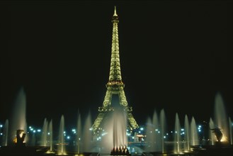 FRANCE, Ille de France, Paris, The Eiffel Tower and the Trocadero Gardens illuminated at night seen