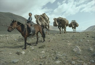 MONGOLIA, Transport, Animals, Child on horse leading loaded camel train to new camp.