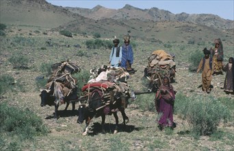 AFGHANISTAN, Nomadic Lifestyle, Nomads on the move walking alongside loaded cattle